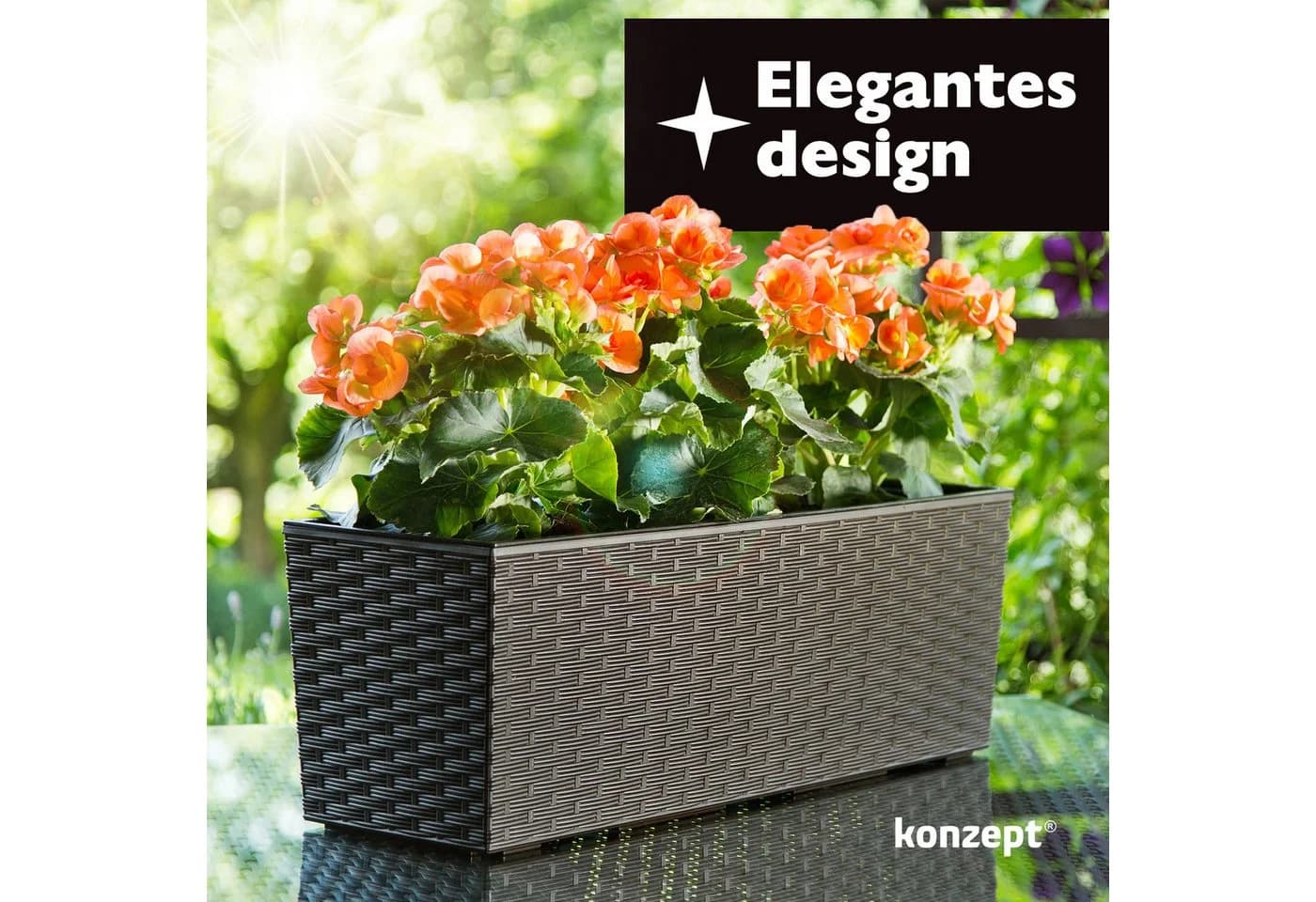 KONZEPT Balkonkasten Rattan-Optik Grau 56x19cm