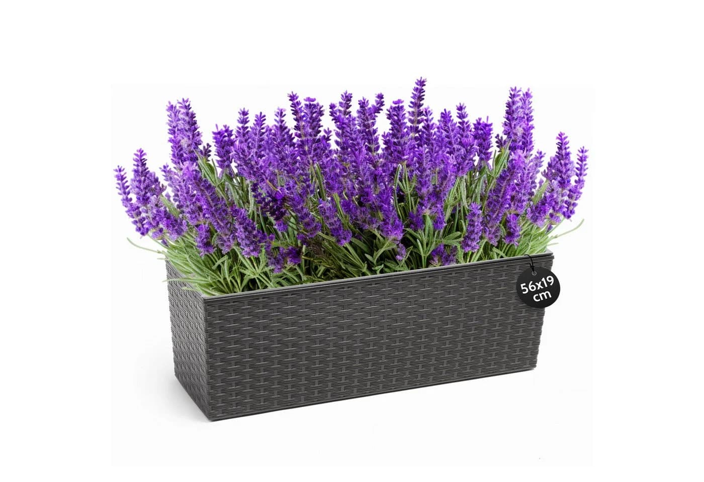 KONZEPT Balkonkasten Rattan-Optik Grau 56x19cm - Bild 2