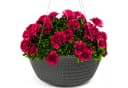 KONZEPT Blumenampel Hängend 30 cm Grau Anthrazit Weiß Bild 2