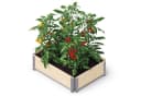 Upyard Hochbeet GardenBox ECO Natur Holz Stapelbar Bild 2
