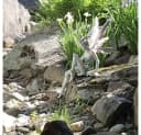 feinlux Sitzende Fee Gartendeko Figur 22 cm Bild 4