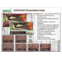 EIFELHUM Pinienrinde 7-15mm Pinienmulch Gartenpinie Bild 3