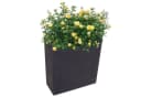 Jelenia Plast Hochbeet Pflanzkasten anthrazit Bild 2