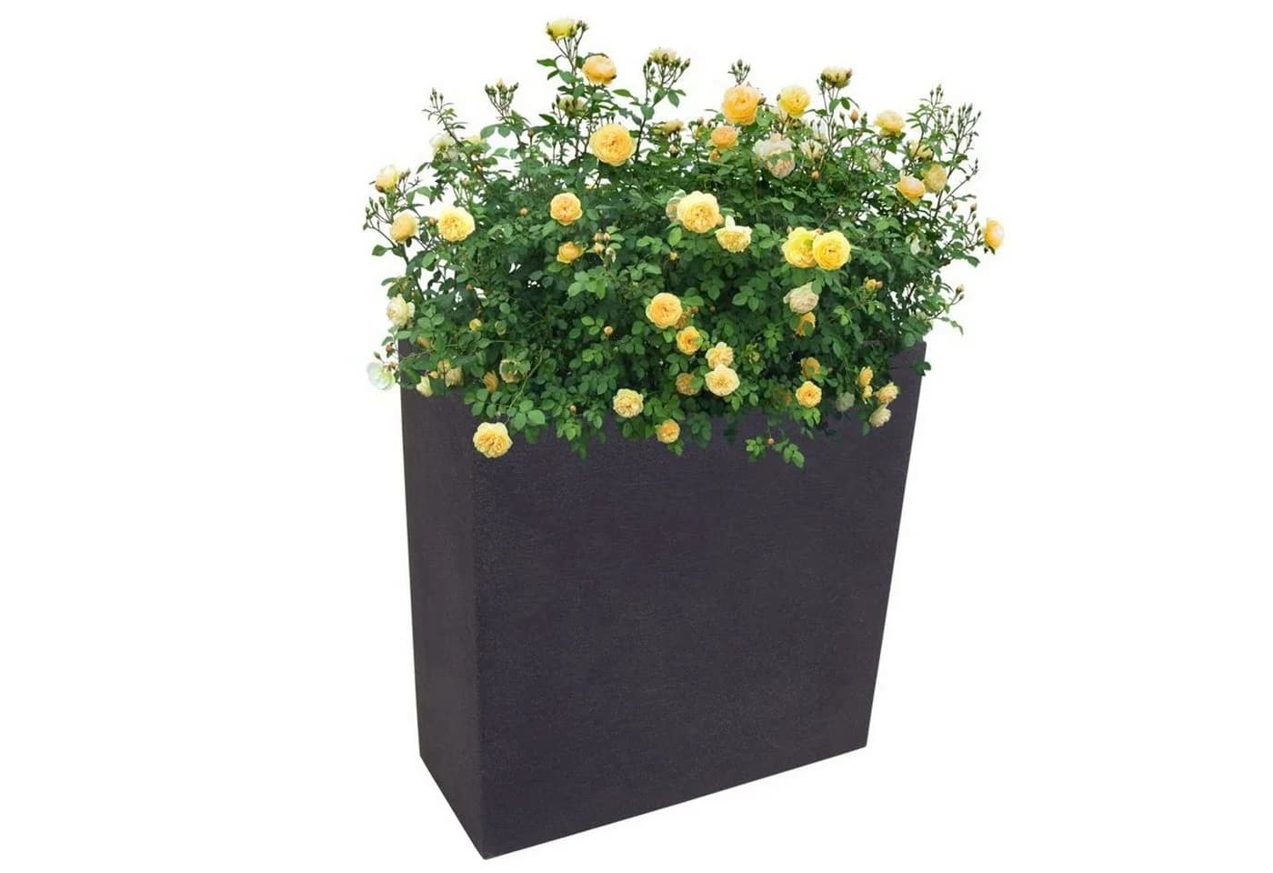 Jelenia Plast Hochbeet Pflanzkasten anthrazit - Bild 2