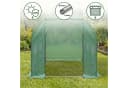 EDENIA Foliengewächshaus KARDO 3x2m mit UV-Schutz Bild 3