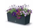 Prosperplast Blumenkasten Rato Case Anthrazit mit Bewässerungssystem Bild 2