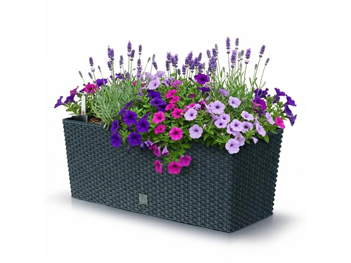 Prosperplast Blumenkasten Rato Case Anthrazit mit Bewässerungssystem - Bild 2