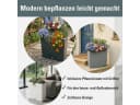 Prosperplast Blumentopf Furu DFC600T Grau Wetterfest Bild 3