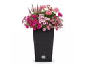 Prosperplast Blumentopf Rato Square 50 cm Anthrazit inkl. Einsatz Bild 2