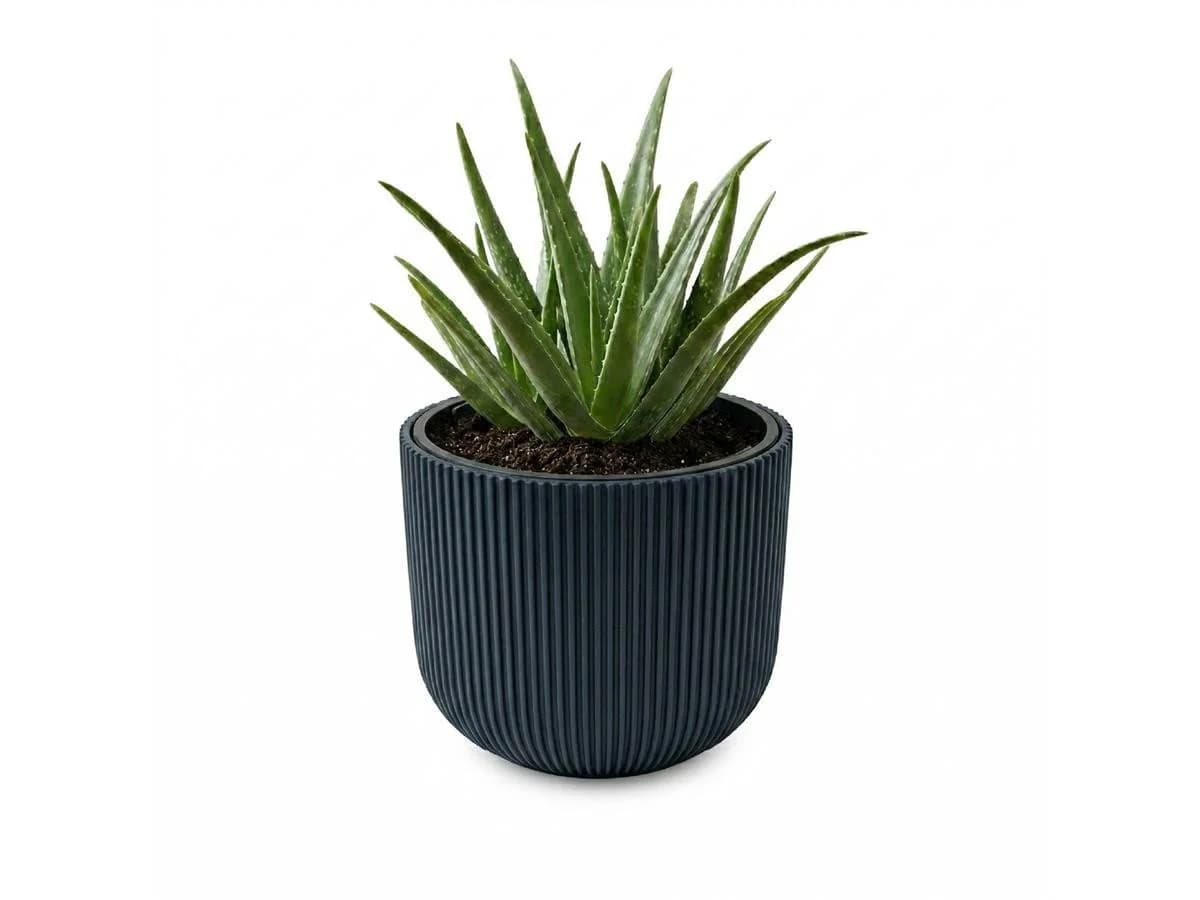Prosperplast Blumentopf Milly Anthrazit mit Pflanzeinsatz - Bild 2