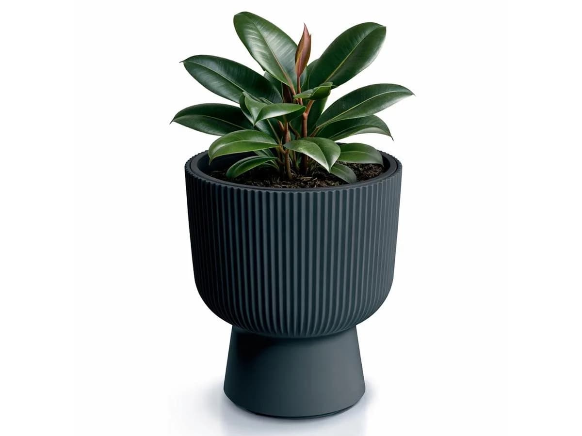 Prosperplast Blumentopf Milly Round Anthrazit mit Pflanzeinsatz - Bild 3