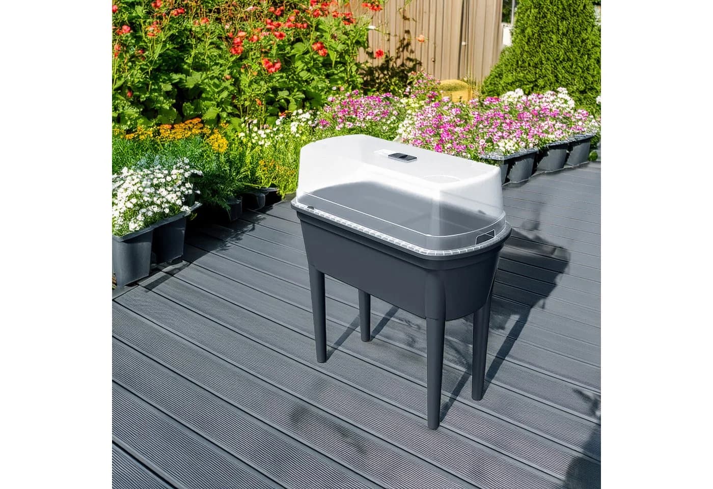 Prosperplast Hochbeet Bloomo Kunststoff - Bild 2