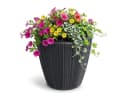 Prosperplast Blumentopf Oro Dunkelgrau mit Pflanzeinsatz Bild 5