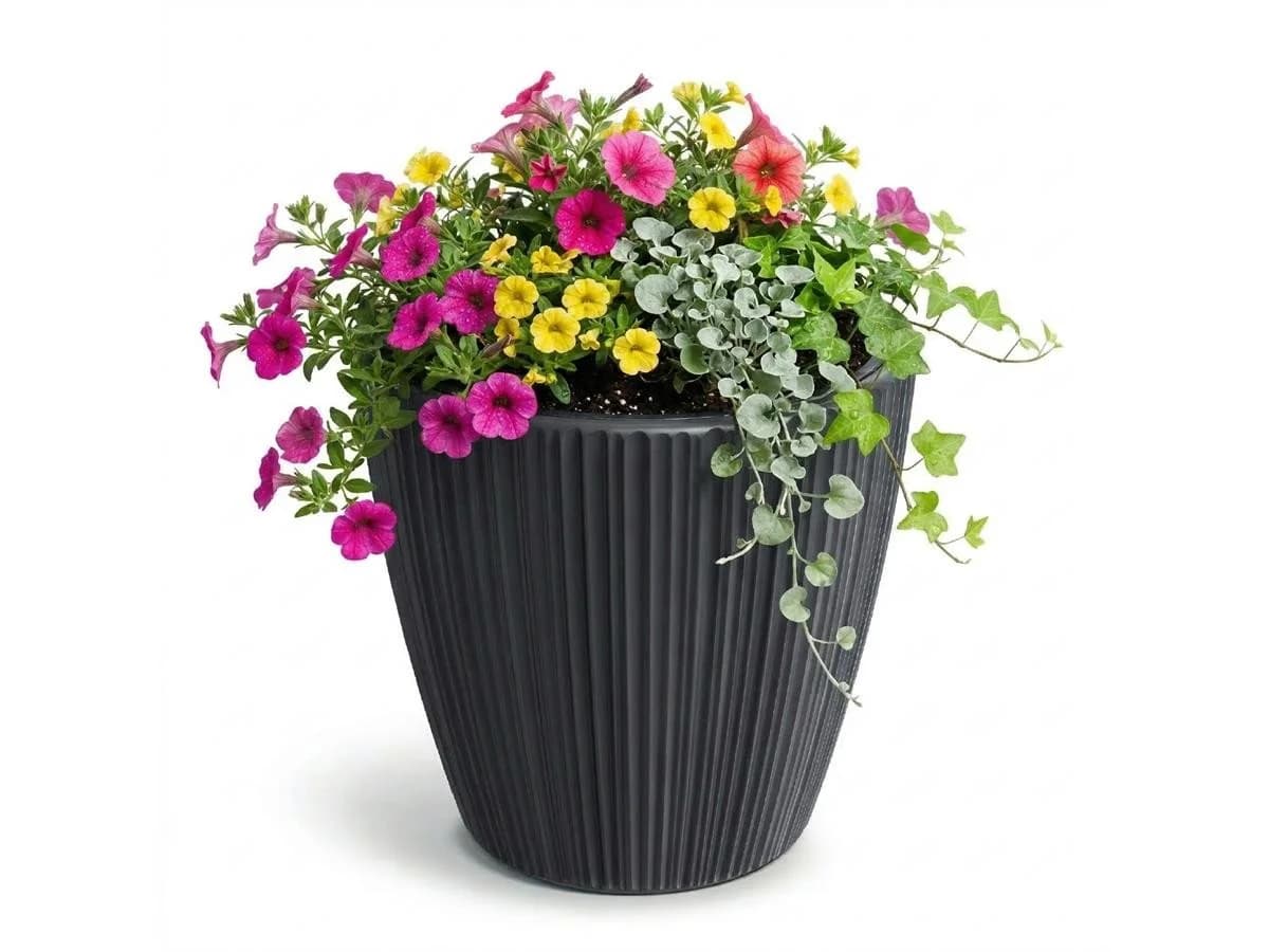 Prosperplast Blumentopf Oro Dunkelgrau mit Pflanzeinsatz - Bild 5