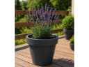 Prosperplast Blumentopf Lofly Anthrazit Bild 3
