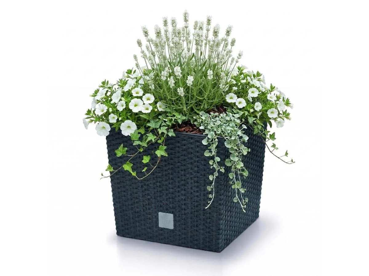 Prosperplast Rato Low Blumentopf Anthrazit Rattanoptik mit Bewässerungssystem