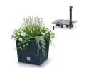 Prosperplast Rato Low Blumentopf Anthrazit Rattanoptik mit Bewässerungssystem Bild 2