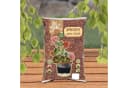 dr. Soil Rindenmulch Pinienrinde 5 Liter Beutel Bild 3