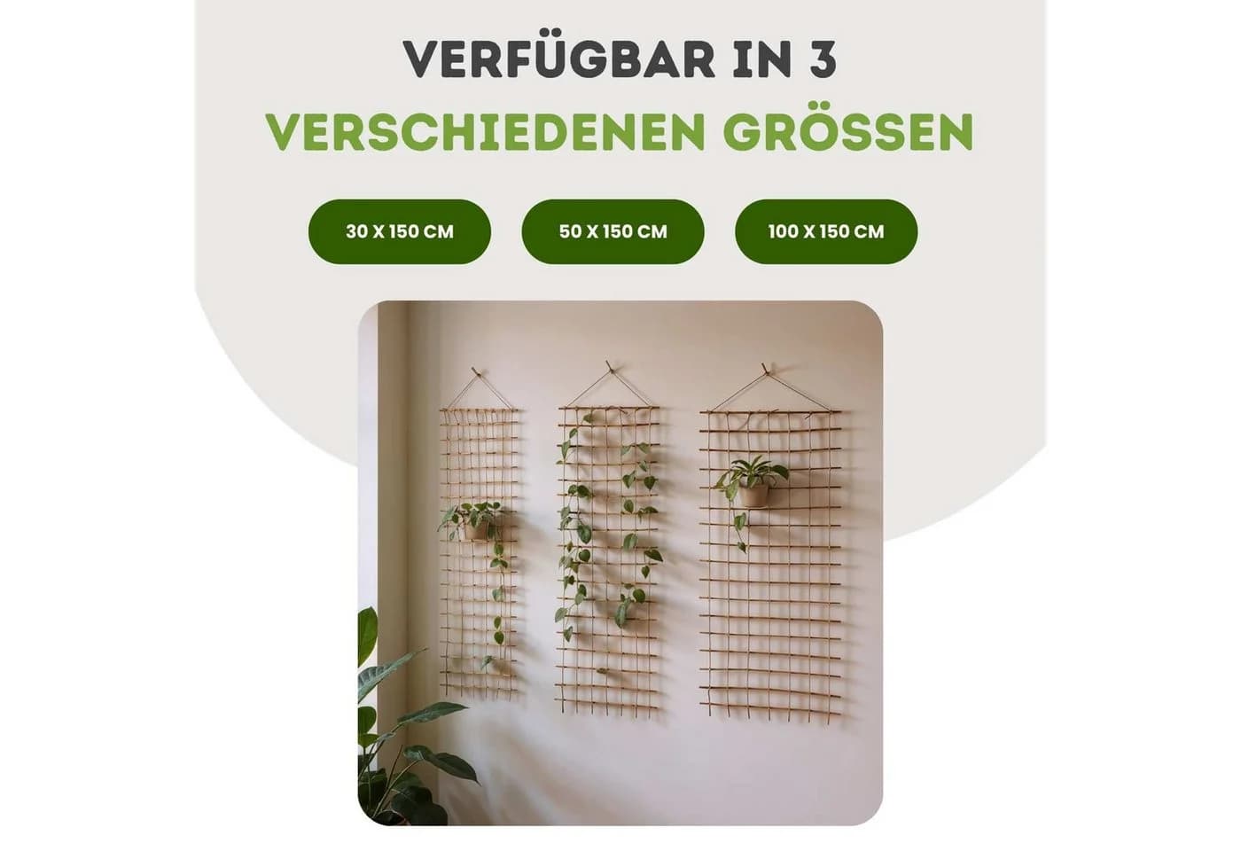 Floranica Rankhilfe Ranknetz Rankgitter für Garten Balkon und Terrasse - Bild 3