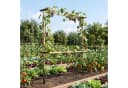 MC Star Erweiterbares Metall-Gartenspalier für Beeren Bild 1