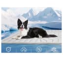 Agger Hundematte Kühlmatte Selbstkühlend Weiß Bild 5