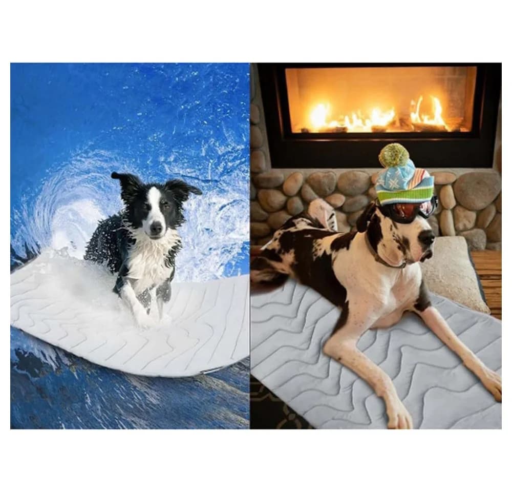 Agger Kühlmatte für Hunde & Katzen Grün Selbstkühlend & Waschbar - Bild 3