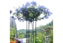 GarveeMore Zaunpfosten Garten Rundspalier 150cm Bild 5