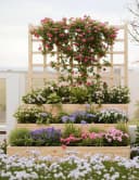 GarveeMore Hochbeet 3-stufiger Pflanzkasten Blumenkasten Gemüsebeet Bild 3