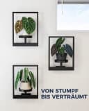 Bamworld Blumenampel 3er-Set Schwarz Metall Hängegefäß Bild 3