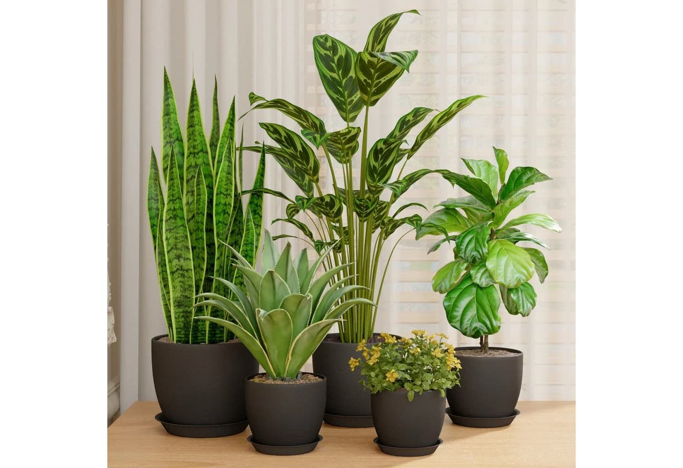 Bamworld Blumentopf 5er Set Schwarz Kunststoff mit Löchern & Untersetzern - Bild 2