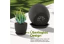 Bamworld Blumentopf 5er Set Schwarz Kunststoff mit Löchern & Untersetzern Bild 5