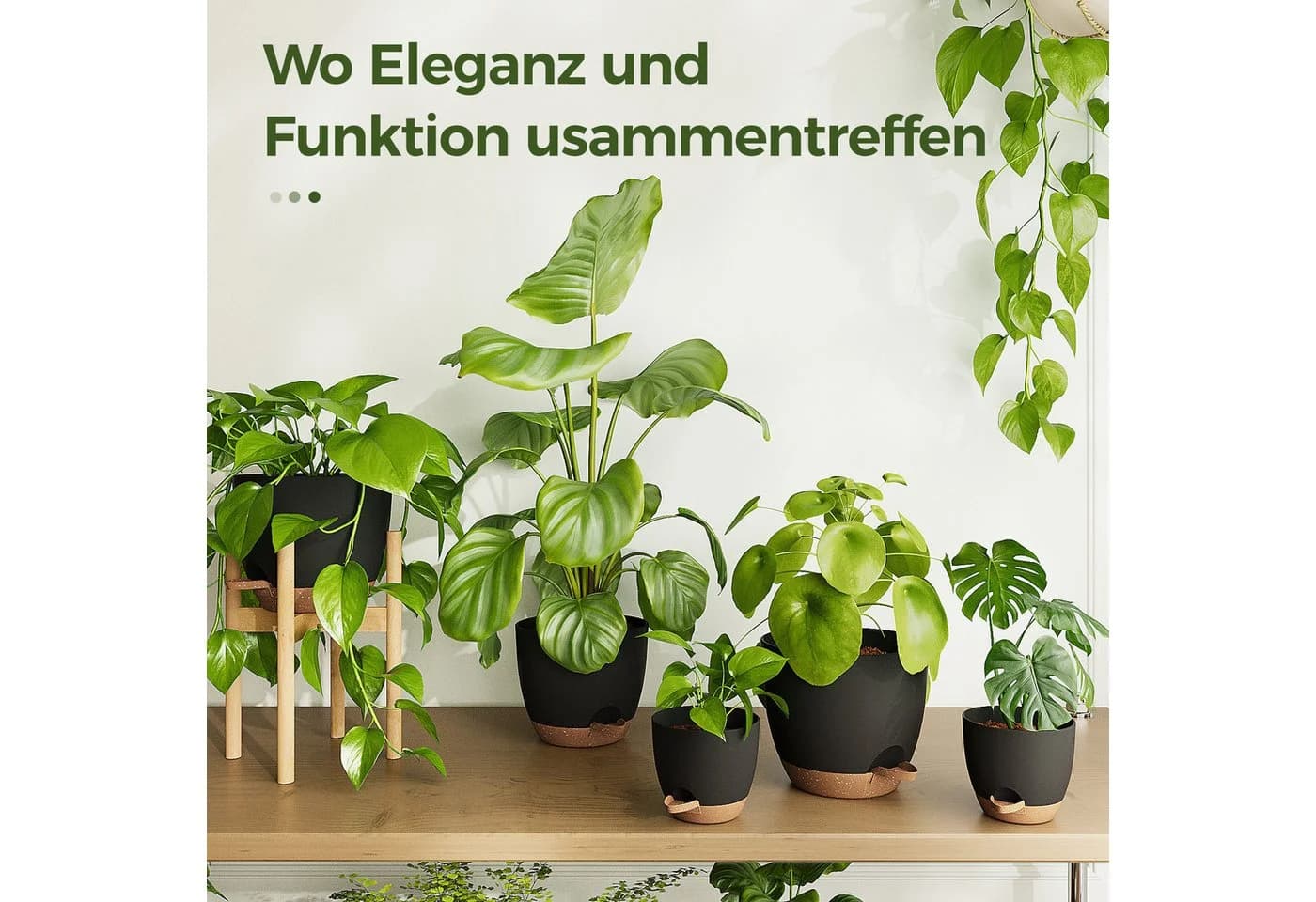 Bamworld Blumentopf 6er-Set Schwarz Selbstbewässerung Kunststoff - Bild 4