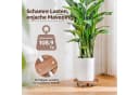 Bamworld Pflanzenroller 4er-Set Holz 30,5 cm mit Bremse Bild 4