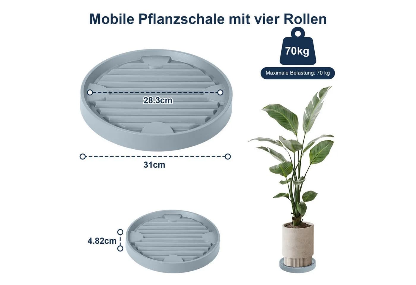 QUBEBU Pflanzenroller Grau 2 Stück mit 360° Rollen bis 70 kg