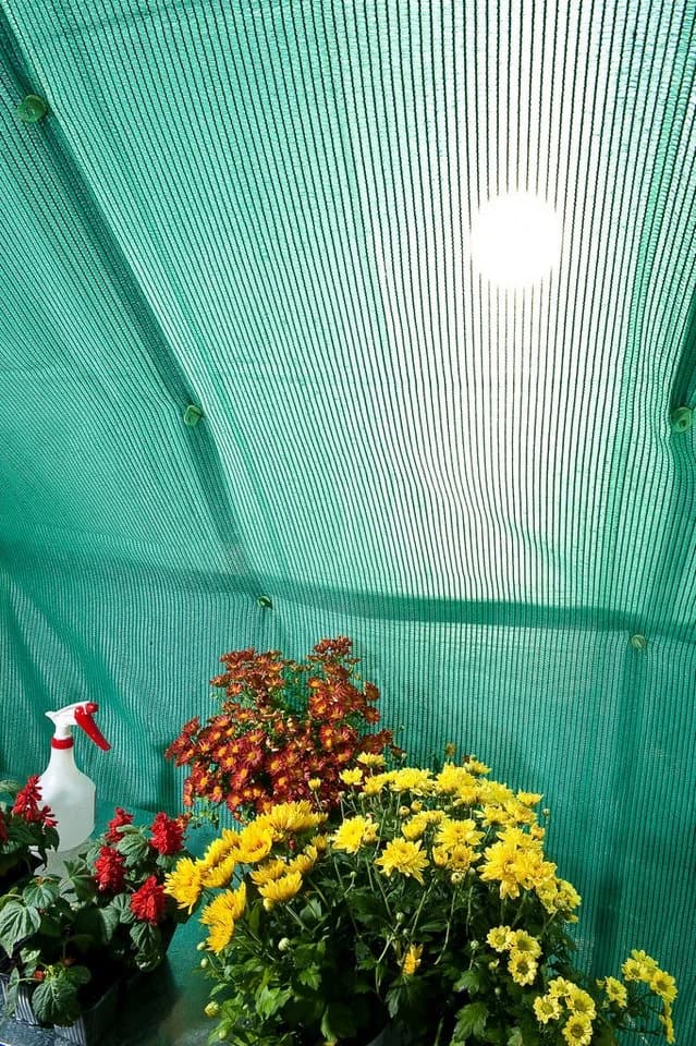 Palram Canopia Schattierungs-Kit Grün UV-Schutz Gewächshaus - Bild 4