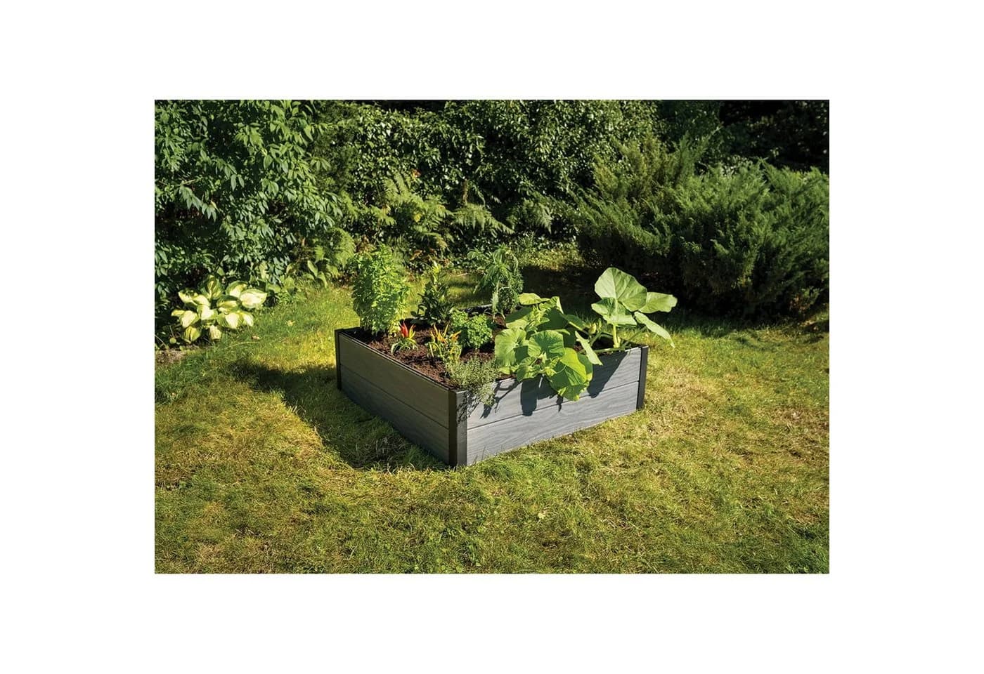 Keter Maple Gartenumrandung Grau Kunststoff Gartenbeet - Bild 3