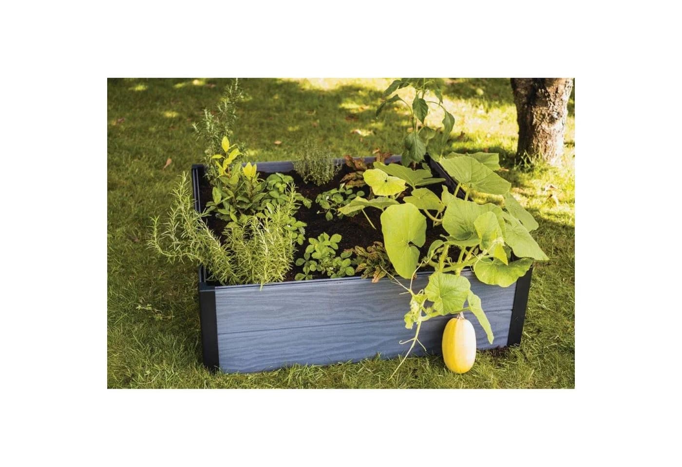 Keter Maple Gartenumrandung Grau Kunststoff Gartenbeet - Bild 5