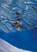 GRE Pool-Abdeckplane Sommer blau PE 370x620cm Bild 1