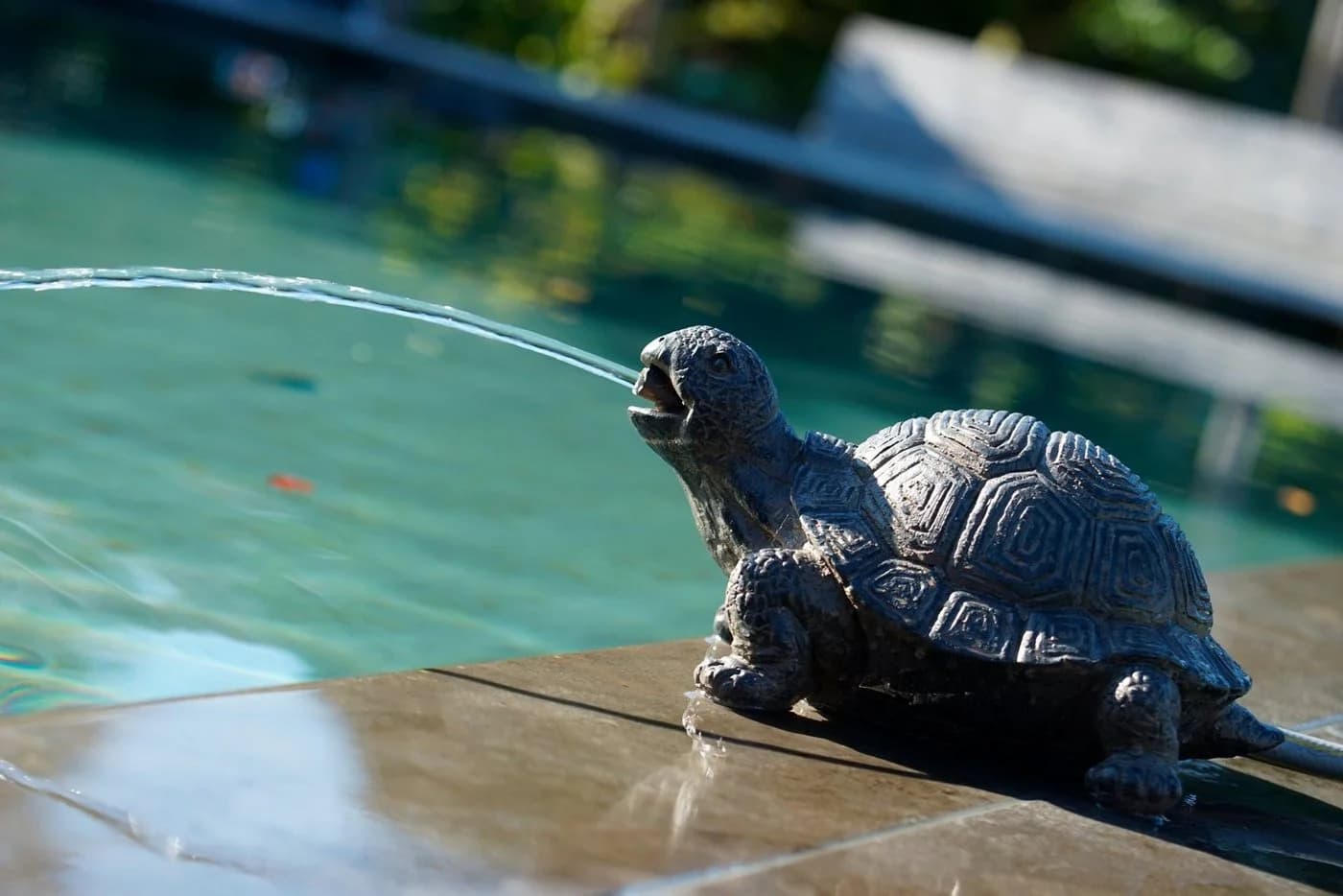 Ubbink Wasserspeier Schildkröte Polyresin Garten - Bild 2