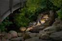 Ubbink Wasserfall Revetón Set mit LED-Beleuchtung Bild 3