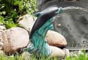 Ubbink Fertigteich Start 1.000 Set Schwarz Bild 3