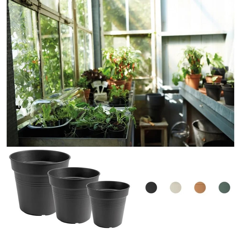 Elho Anzuchttopf Green Basics 11 Schwarz Kunststoff - Bild 3