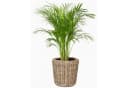 Van der Leeden Blumenkorb 42x44cm Rattan Bild 3