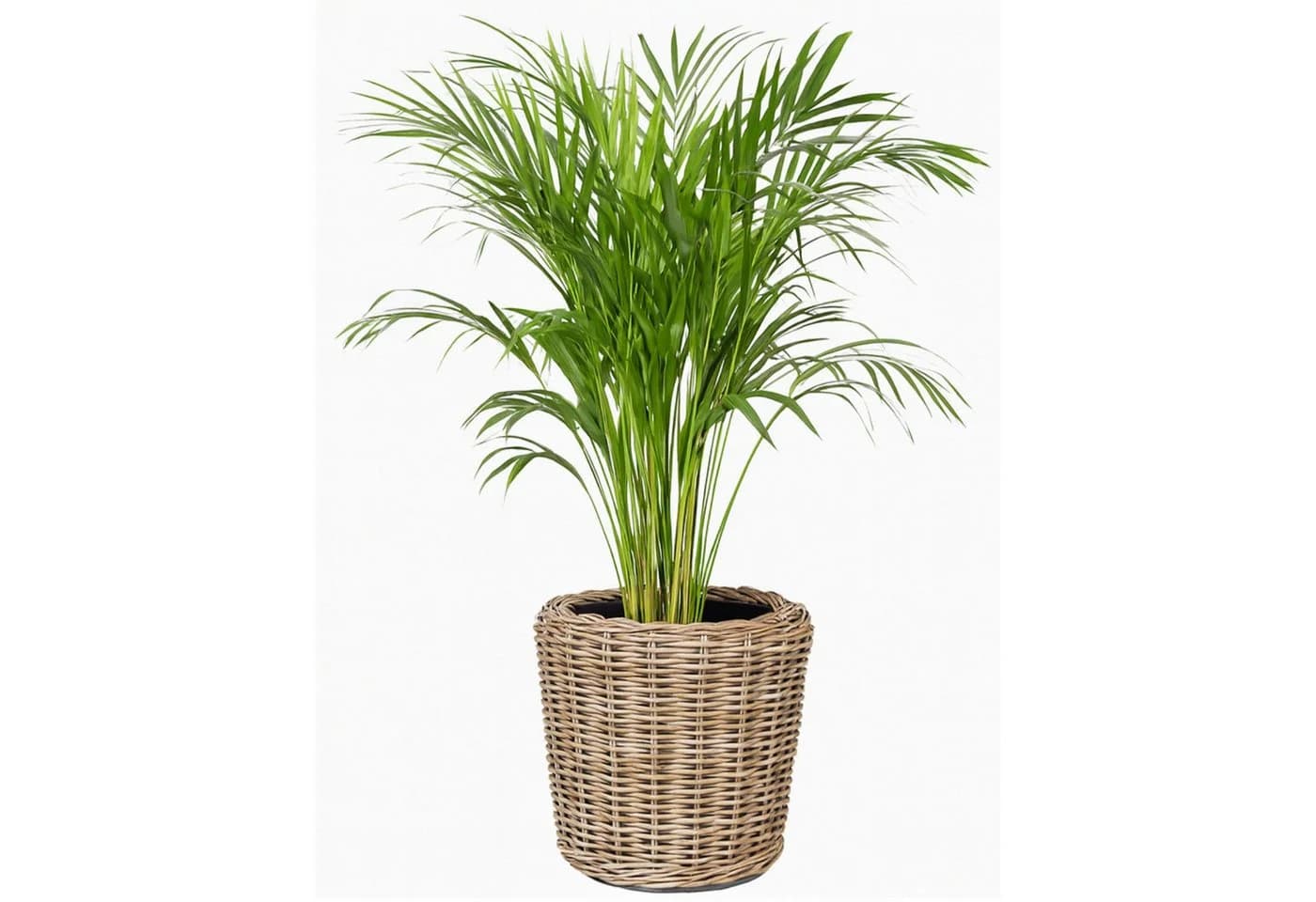 Van der Leeden Blumenkorb 42x44cm Rattan - Bild 3