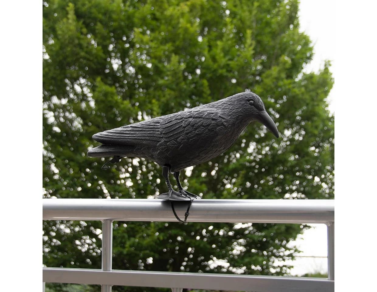 Esschert Design Vogelschreck Krähe Schwarz Wetterfest - Bild 5