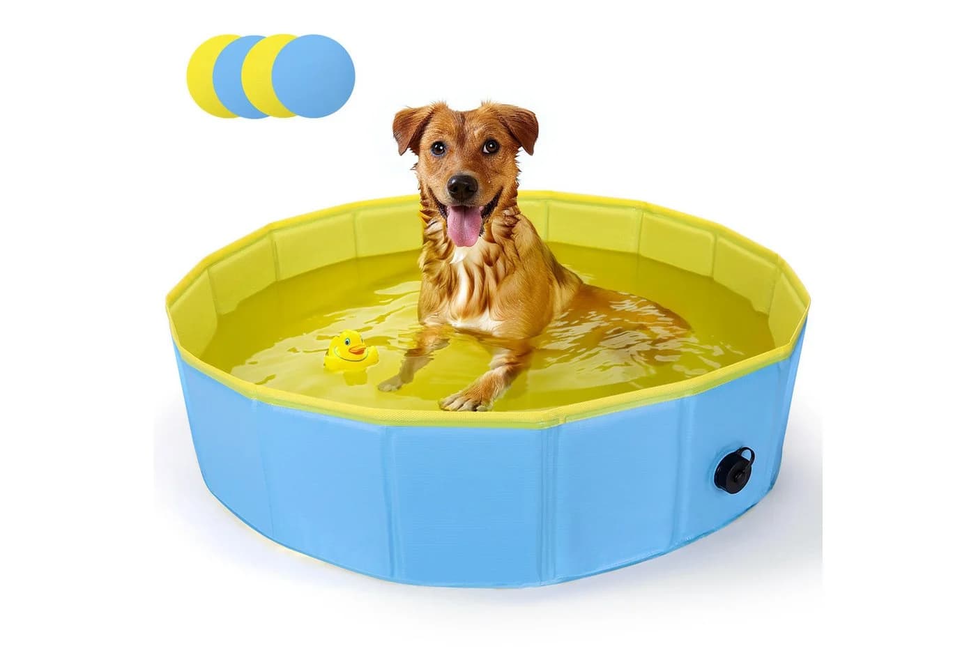 nobleza Faltbarer Hundepool Planschbecken Blau/Gelb - Bild 2
