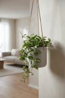finestgreen Blumenampel Hängepflanztopf Charlie Fiberclay Beton-Optik Bild 4