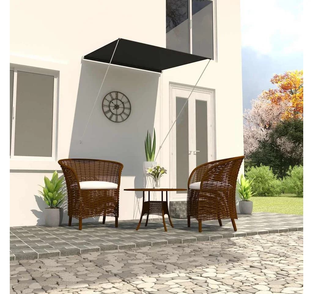 vidaXL Einziehbare Markise Anthrazit 100x150 cm
