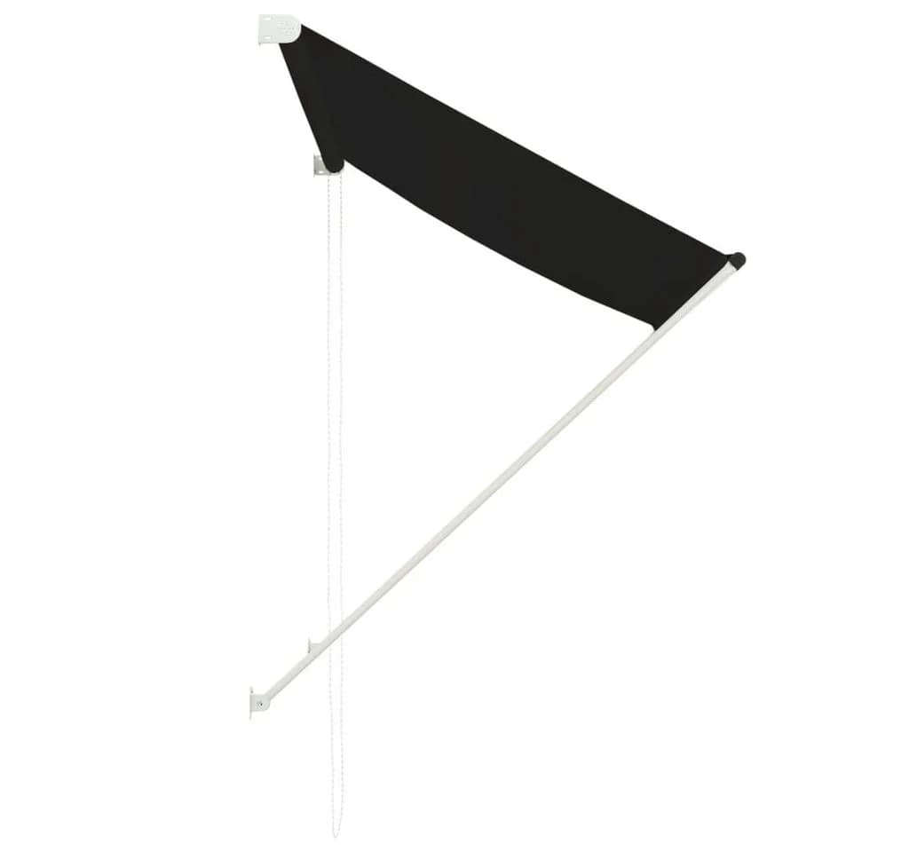 vidaXL Einziehbare Markise Anthrazit 100x150 cm - Bild 4