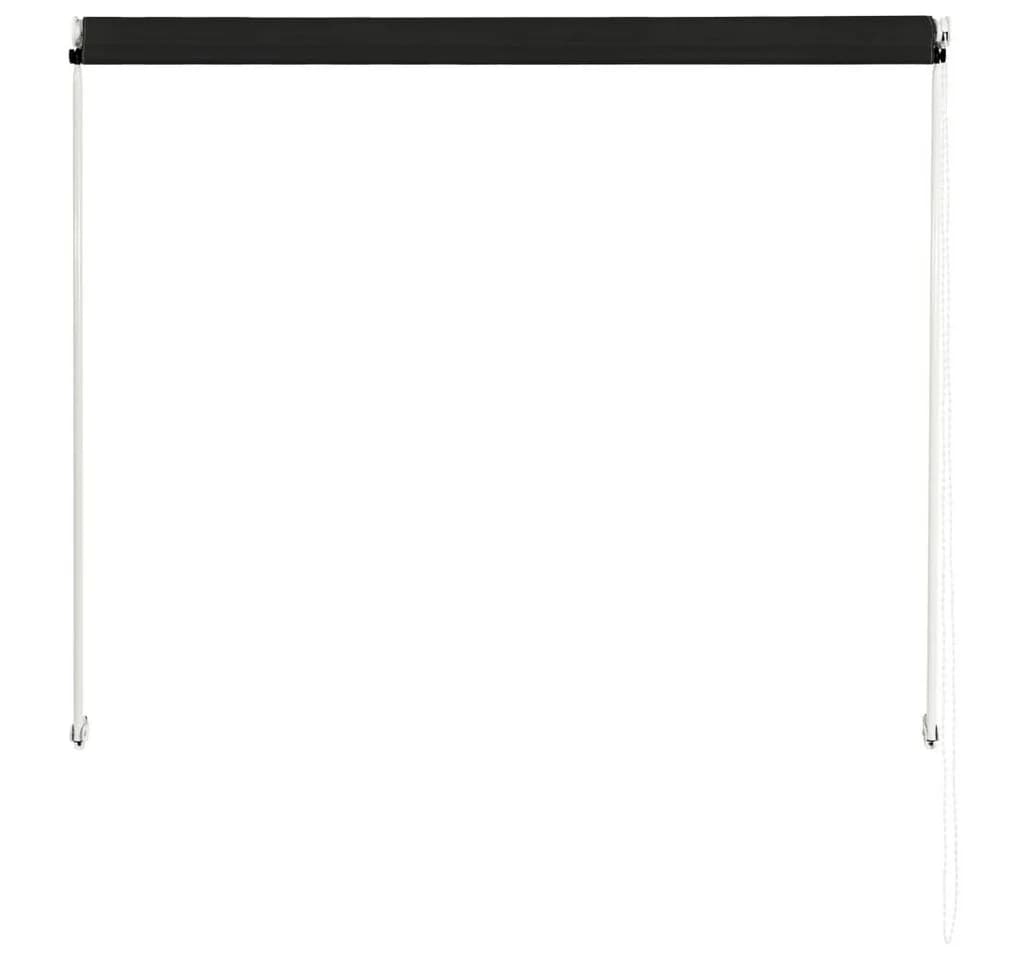 vidaXL Einziehbare Markise Anthrazit 100x150 cm - Bild 5